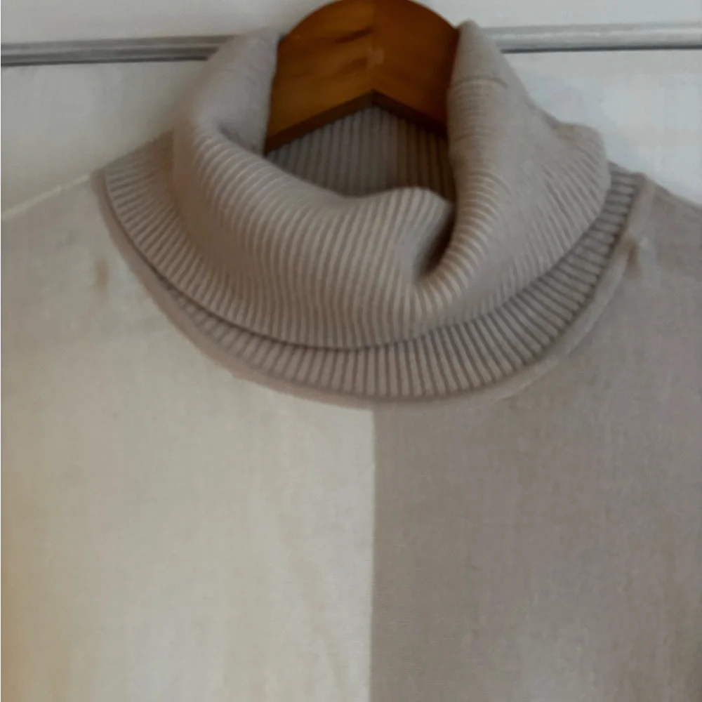 Alfani Cream and Brown Turtleneck Sweater - Picture 5 of 7
